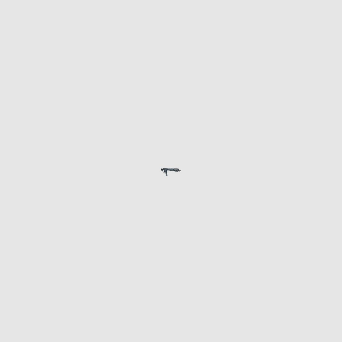 Karabina Smith & Wesson SBR-15 12″ IPSC 223R, zdjęcie 3 z 4