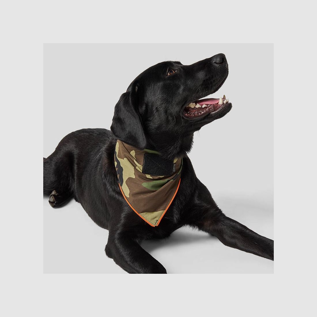5.11 BANDANA CANE WOODLAND MEDIUM
