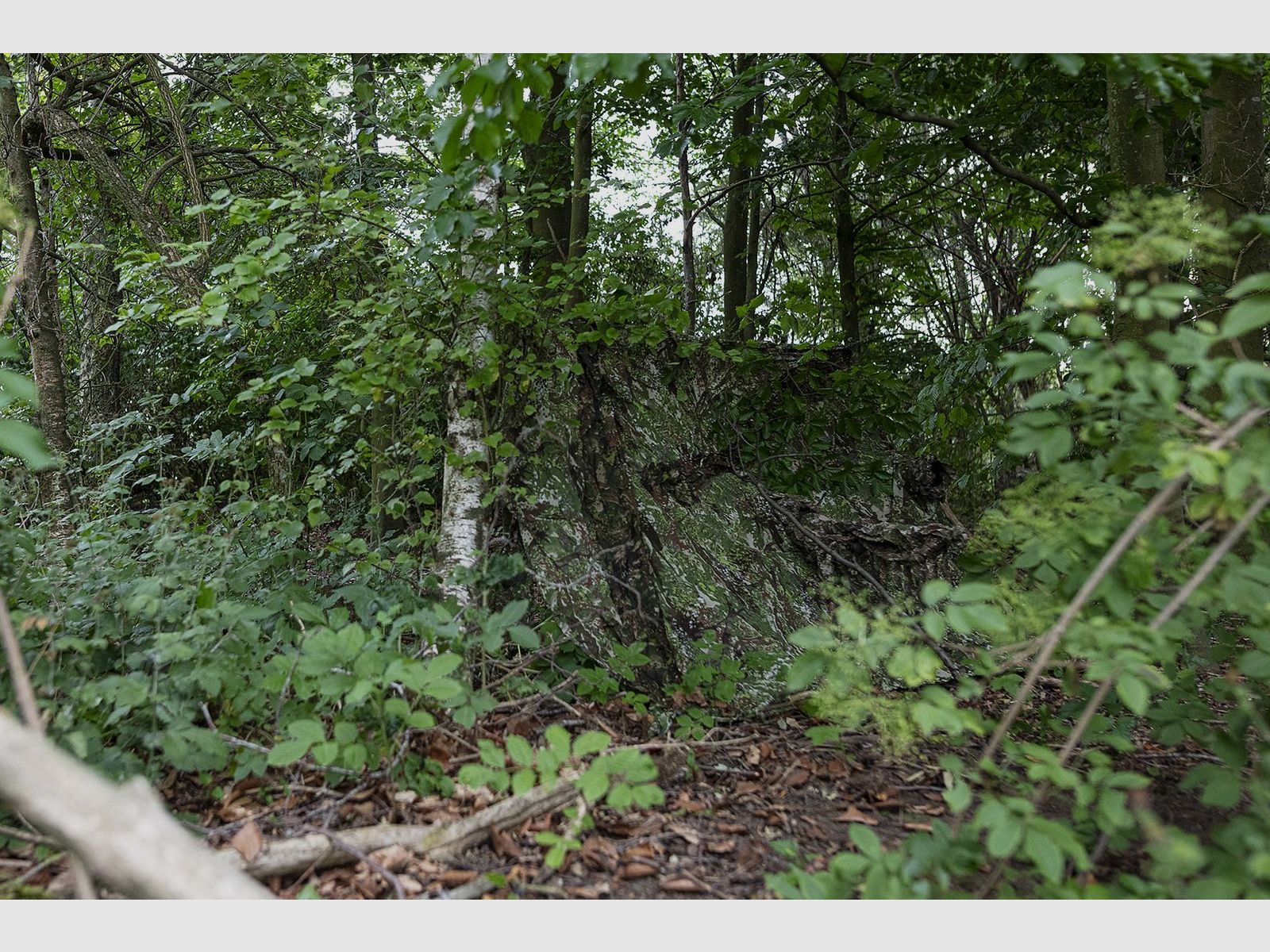 Ghosthood Recce-Net, immagine 8 di 9