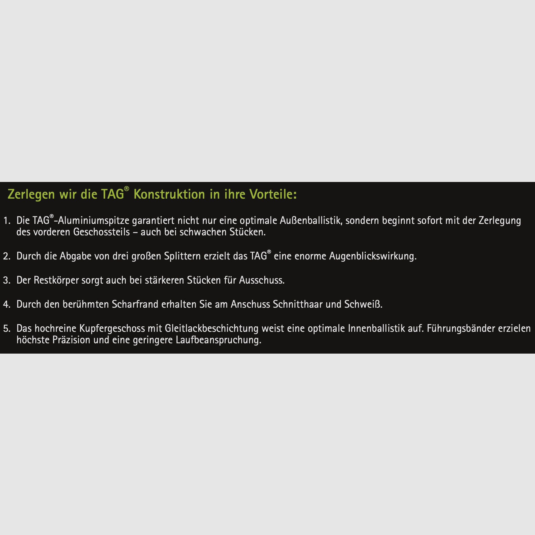 Brenneke 7x65 R TAG 10,4g 160grs. Bleifrei Langwaffenmunition