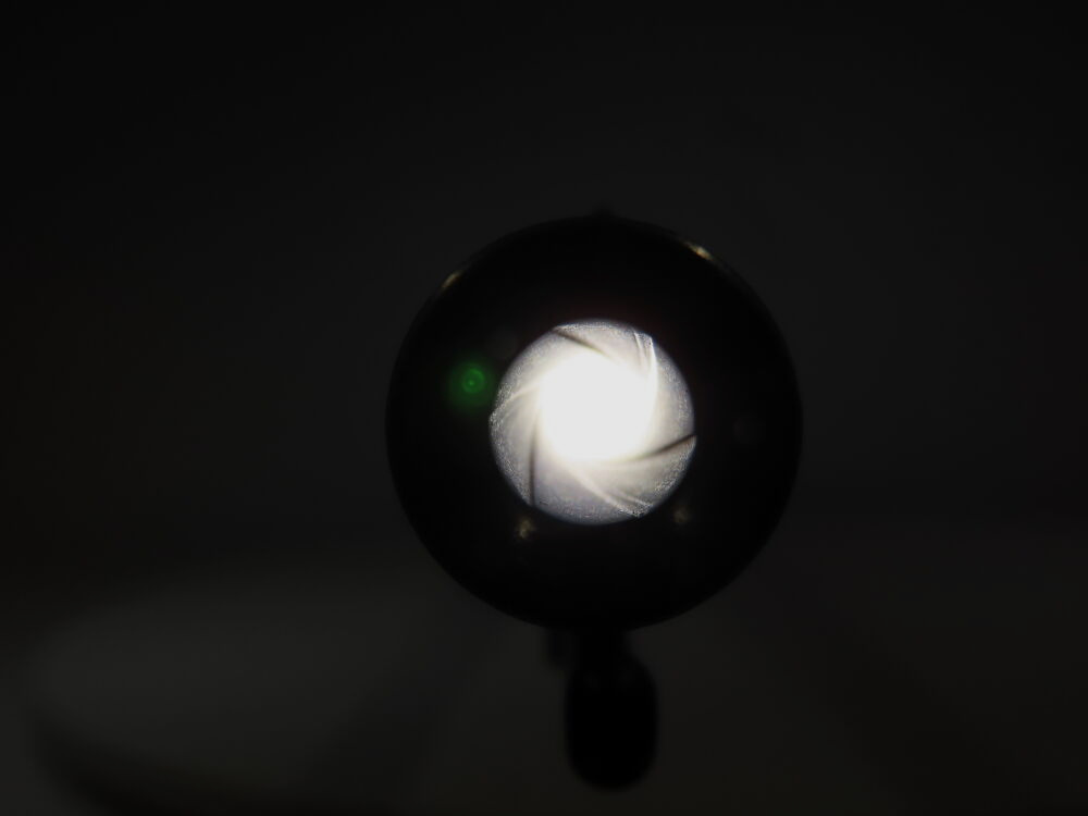 Fusil d'infanterie Schmidt Rubin 1889