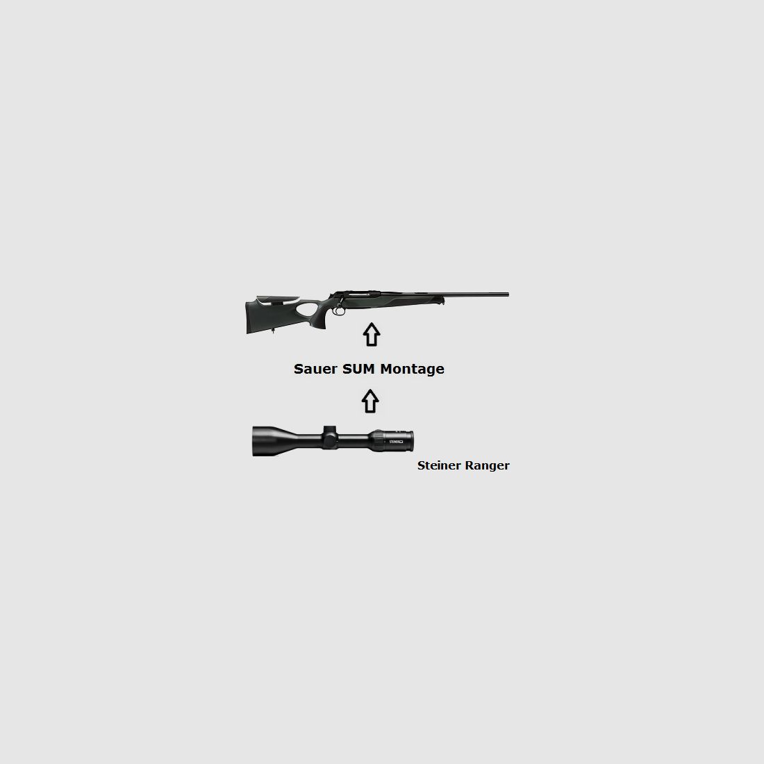 Sauer 404 Synchro XT + Steiner Ranger + Montage + ... Komplettpaket