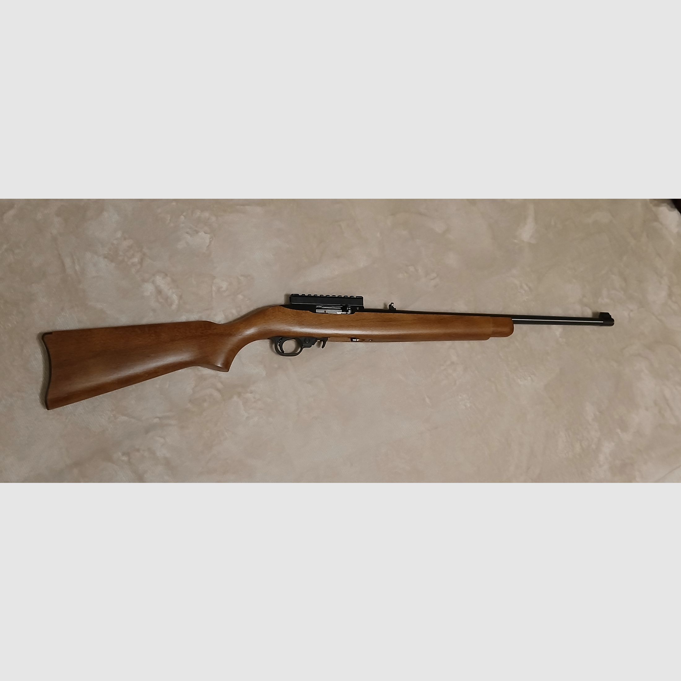 Ruger 10/22 Selbstladebüchse RB Carbine .22lr mit Wechselschaft
