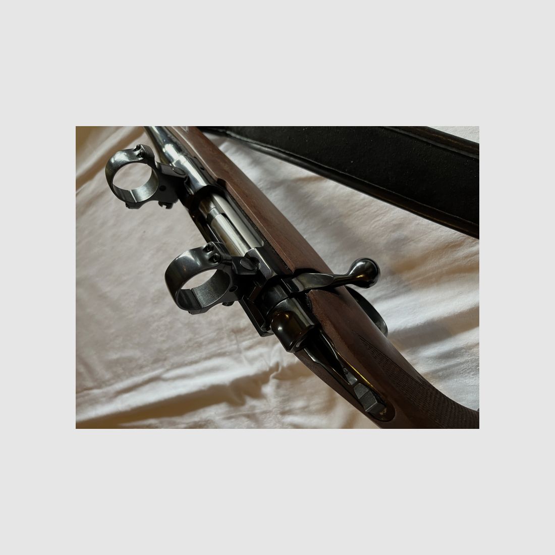 Ruger M77 .308 Win.