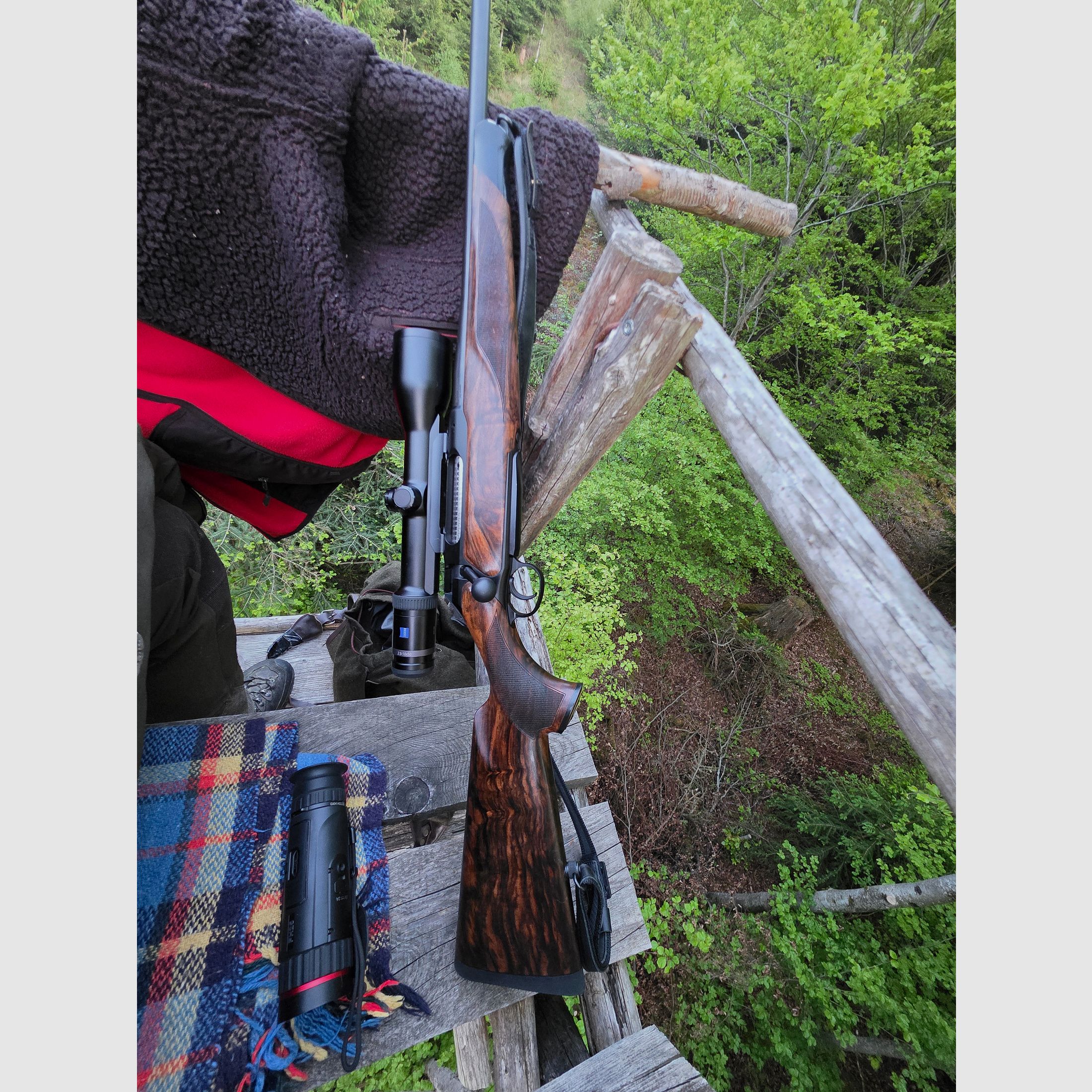 Sauer 404 Elecance komplett Paket 