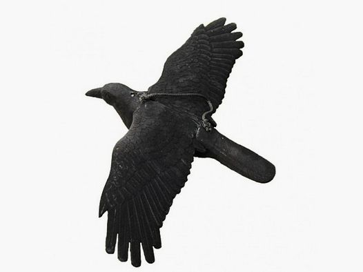 Appelant corbeau en vol, floqué, 44x80 cm, avec piquet métallique