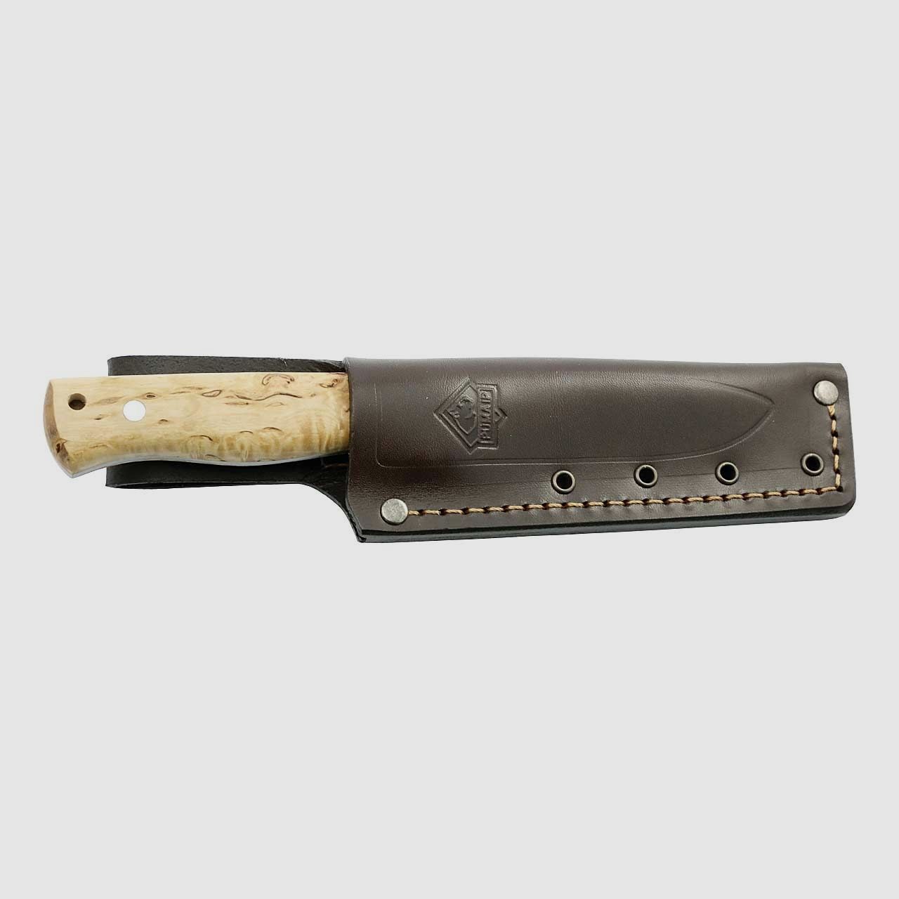 Puma IP Beaver, Bild 2 von 2