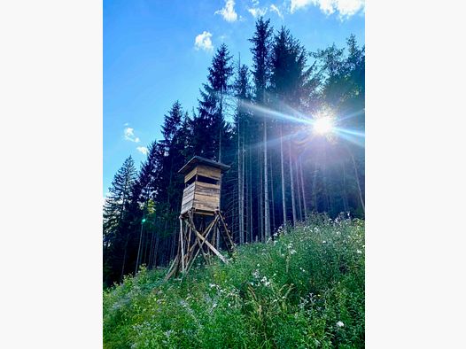 Jagd&shy;kurs – Wochentagskurs ab Di 11.05.2027