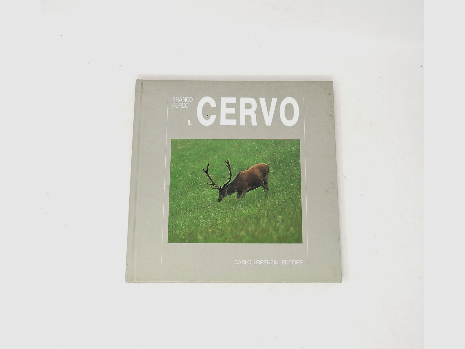 “Il Cervo” di Franco Perco