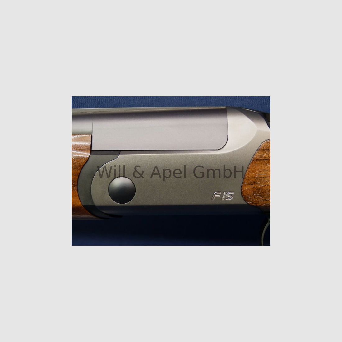 Blaser F16 Game INTUITION