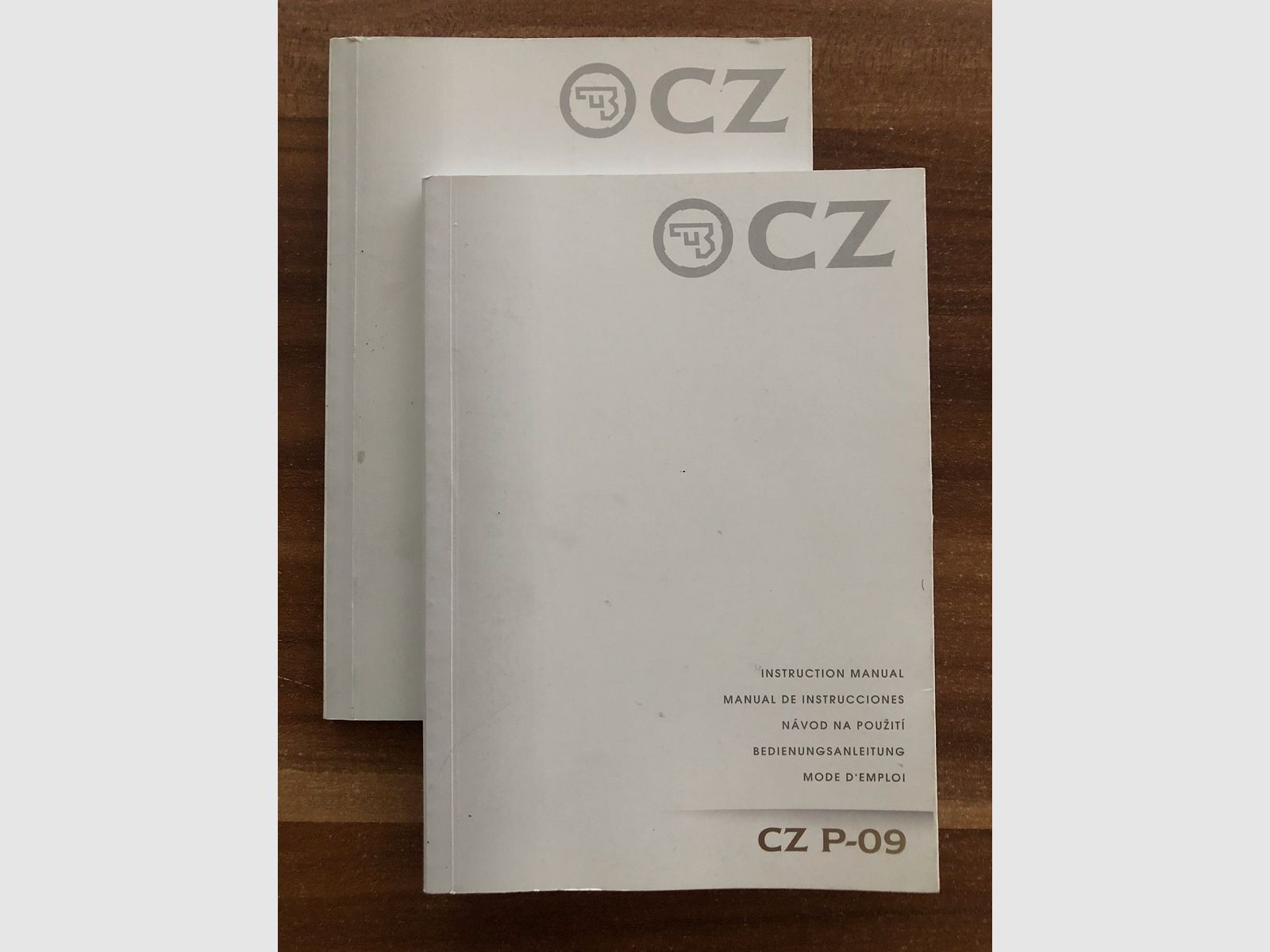 <CZ-P09 Kleinkaliber 22 lfB>