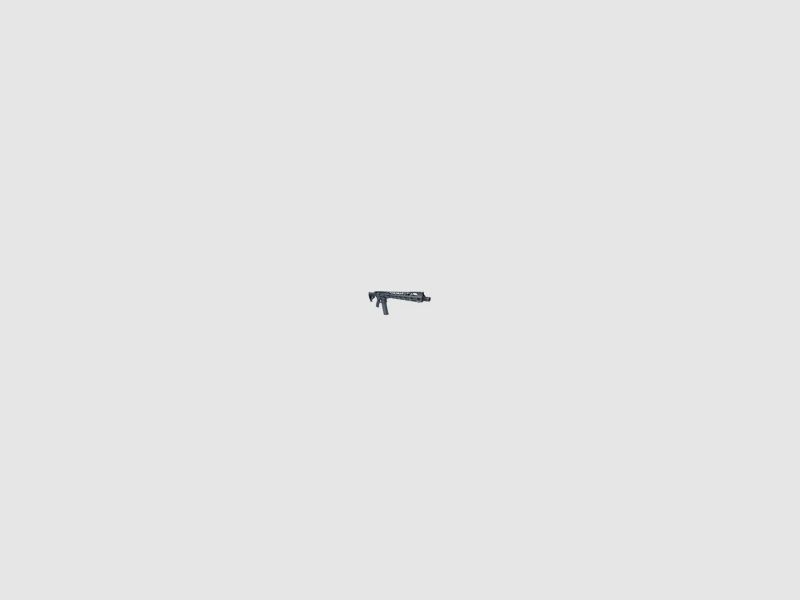 Karabina Smith & Wesson SBR-15 12″ IPSC 223R, zdjęcie 3 z 4