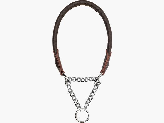 Blaser Hundehalsung Leder