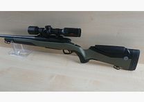 Steyr RMS Wild