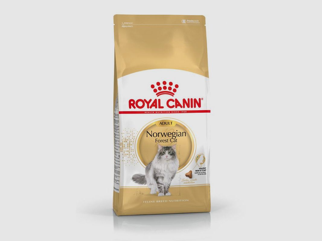 ROYAL CANIN Norwegian Forest Cat Adult Trockenfutter für Norwegische Waldkatzen 10 Kg