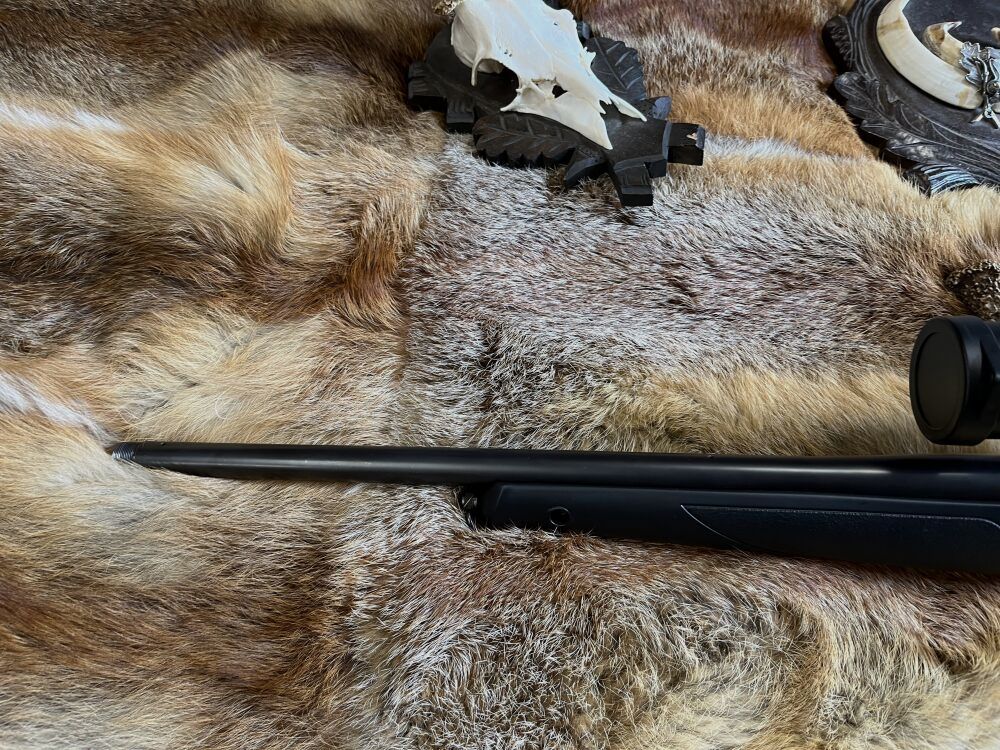 Sauer 202