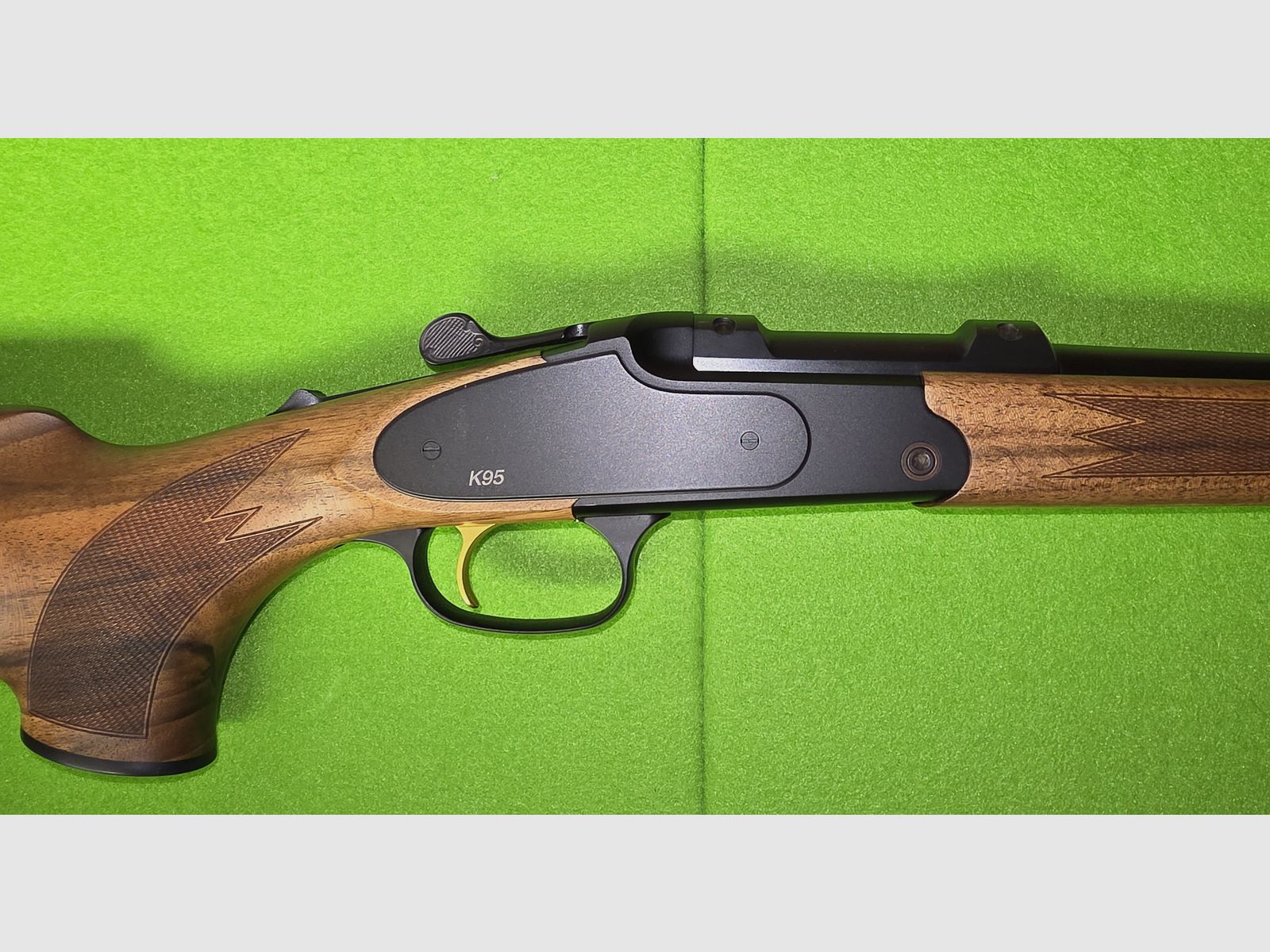 Blaser K95