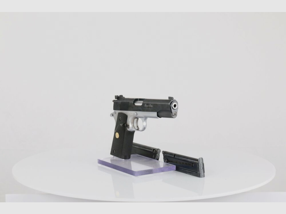 Colt ACE