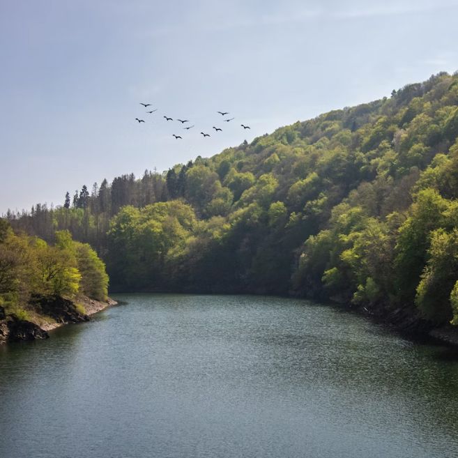 Jagdzeiten Rheinland-Pfalz