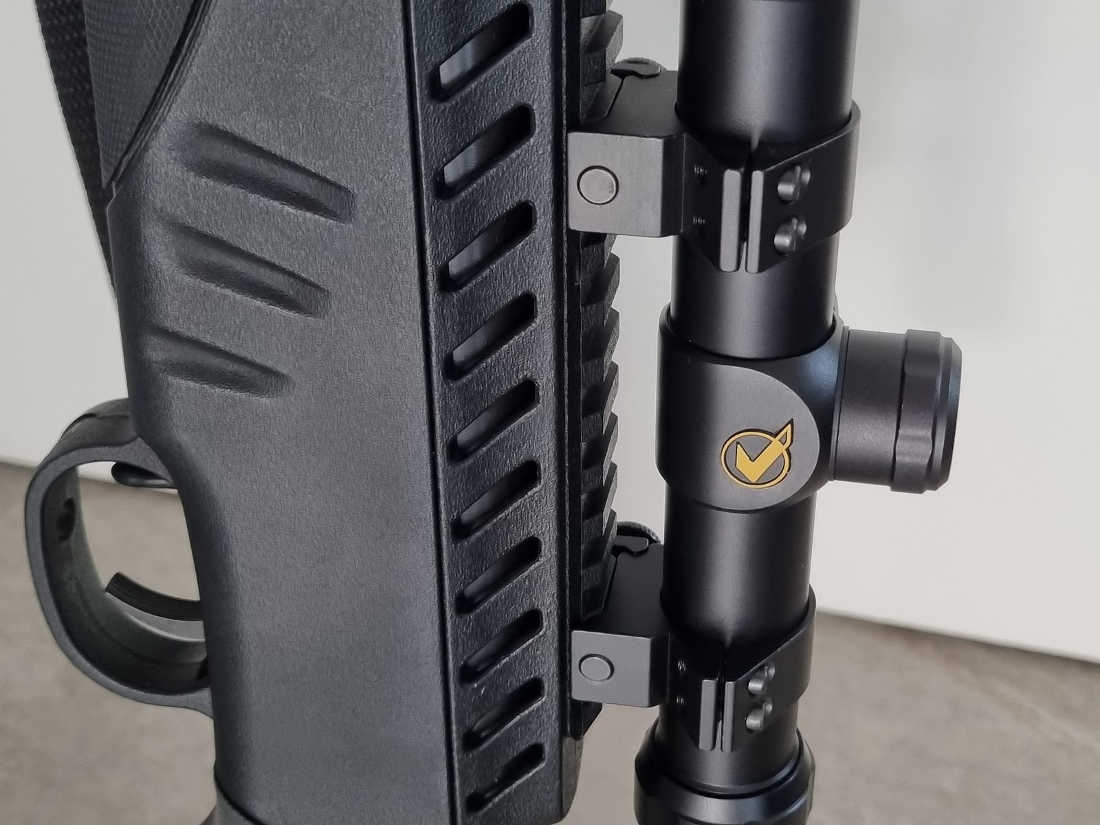 Ruger Targis Hunter 4.5 mit Gamo Viewfinder 3-9x40 WR