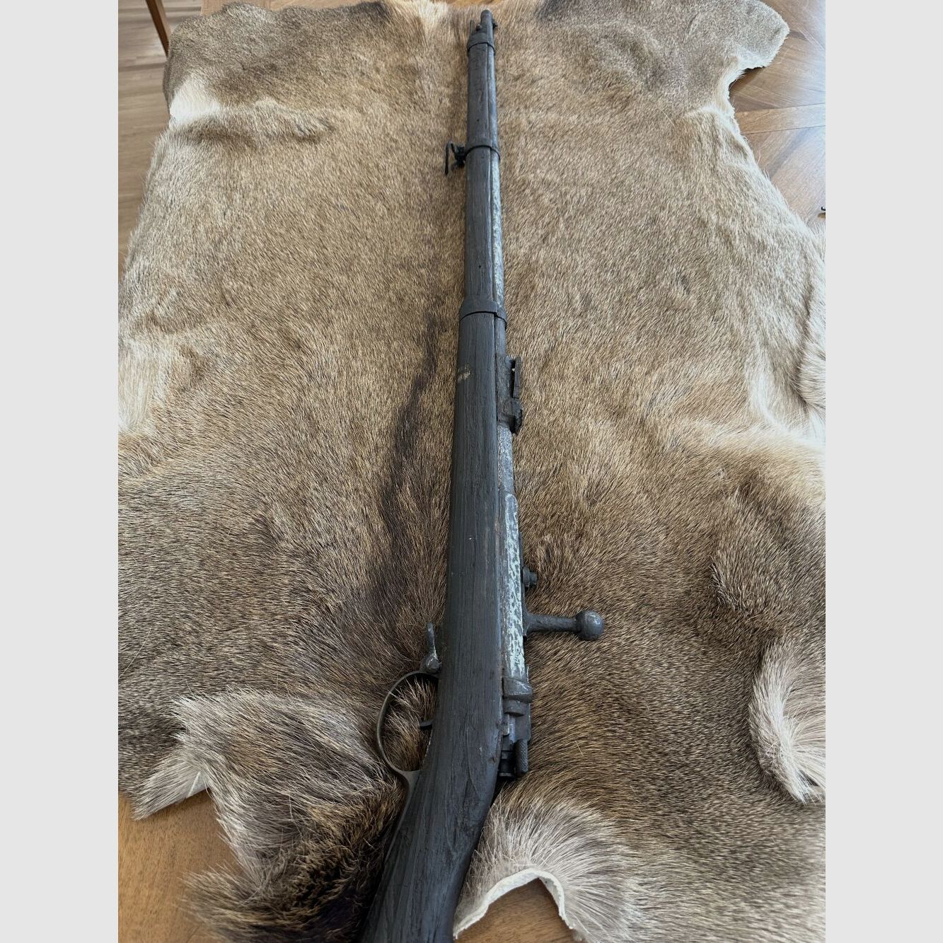 M1871 M1871, Bild 1 von 3