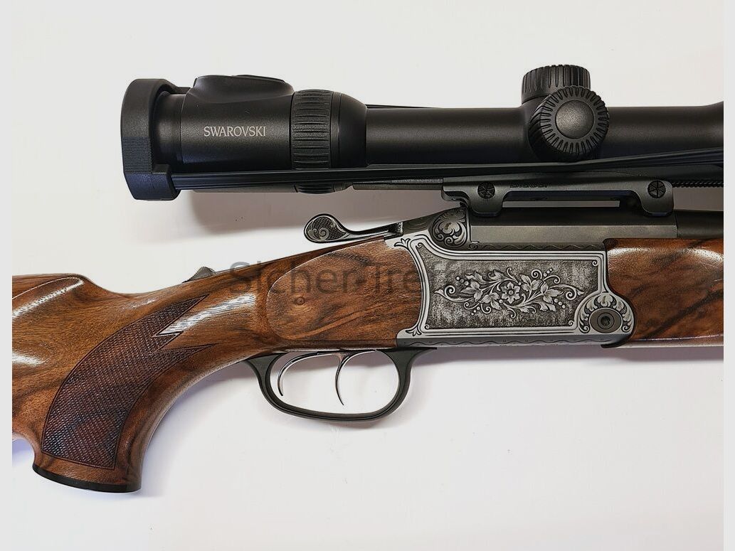 Blaser BS95