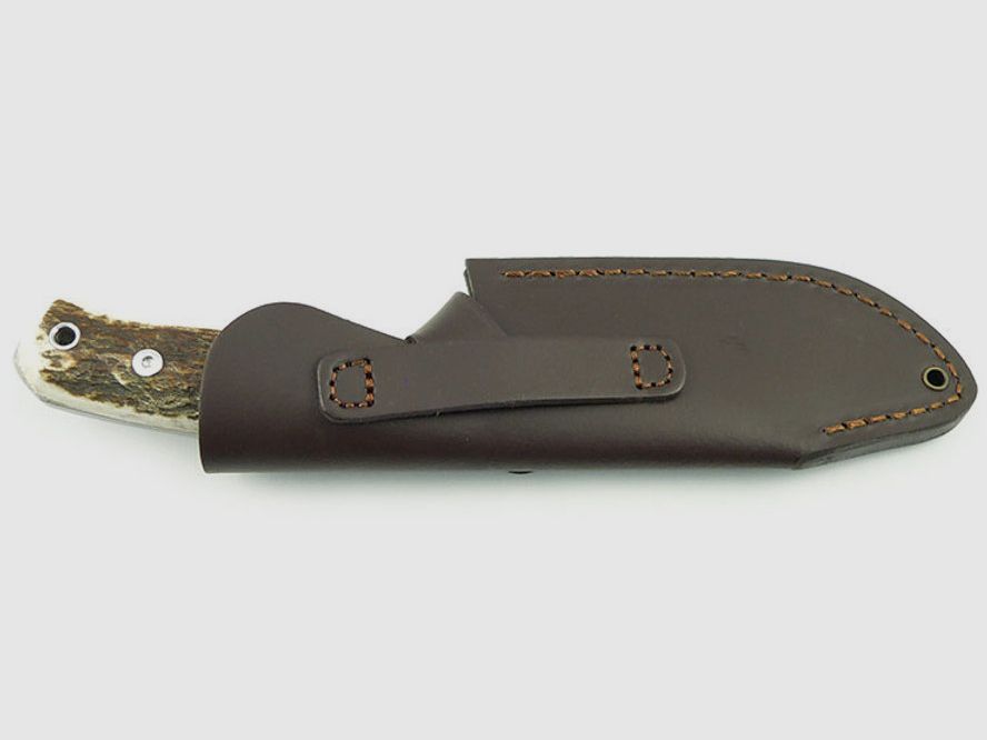 PUMA IP cervato, stag