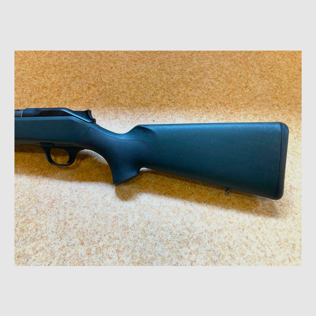 Blaser R8 Professional