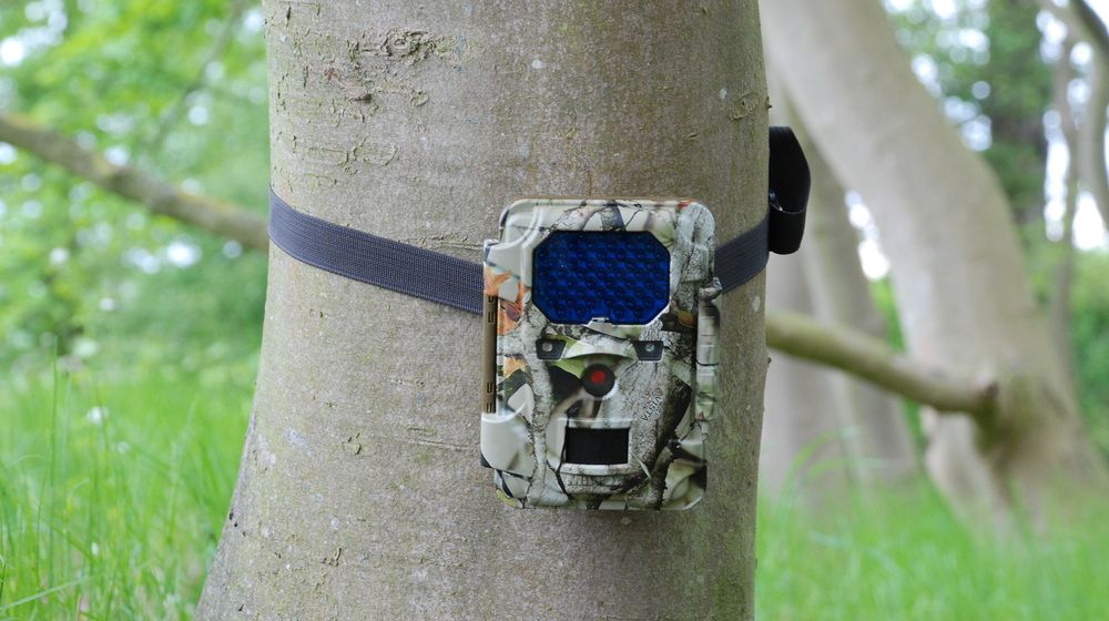 Wildkamera MINOX DTC 650