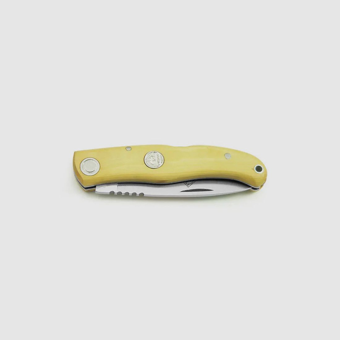 PUMA IP paro