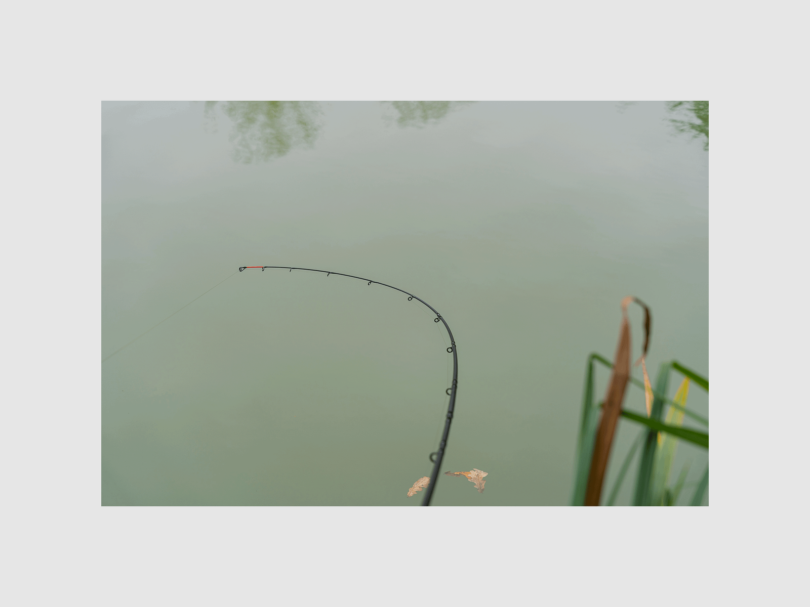 CANNA FEEDER – KORUM – LIMITLESS 14′ | 4,2m | 220g, Bild 5 von 5