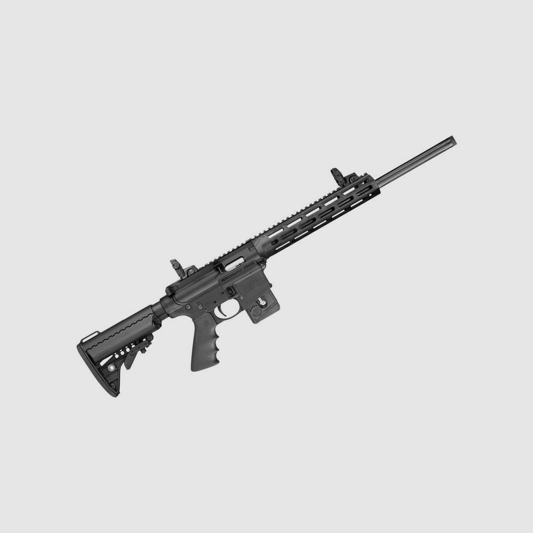 Selbstladebüchse Smith & Wesson M&P15-22 Sport PC
