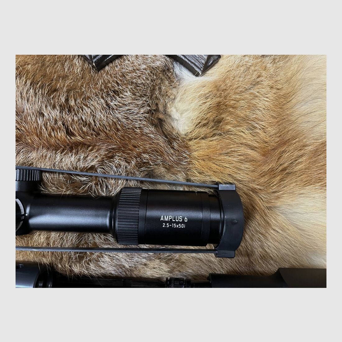 Mauser M25 Max