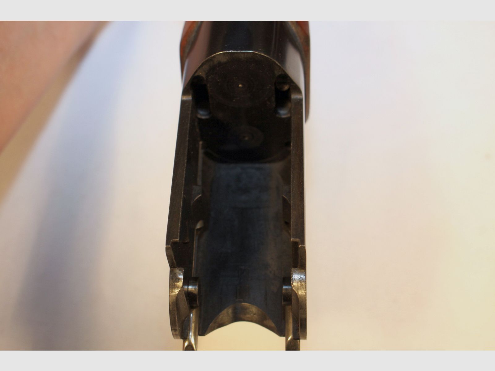 Brno Arms BBF für den Drückjagd-  Durchgehschützen in 12/70 und 7x65R.
