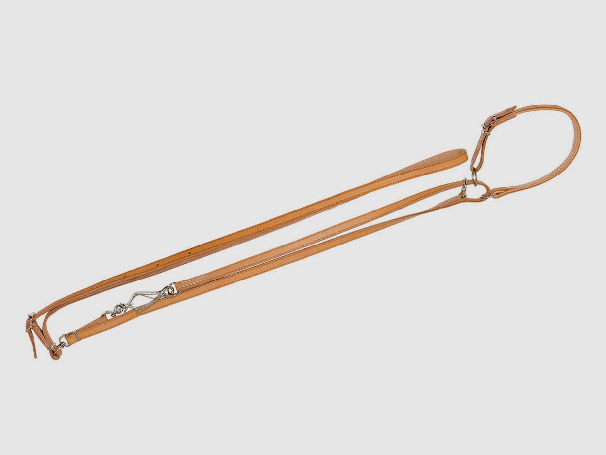 AKAH Umhängeleine mit Halsung / Länge: 1,60m / Breite: 14mm