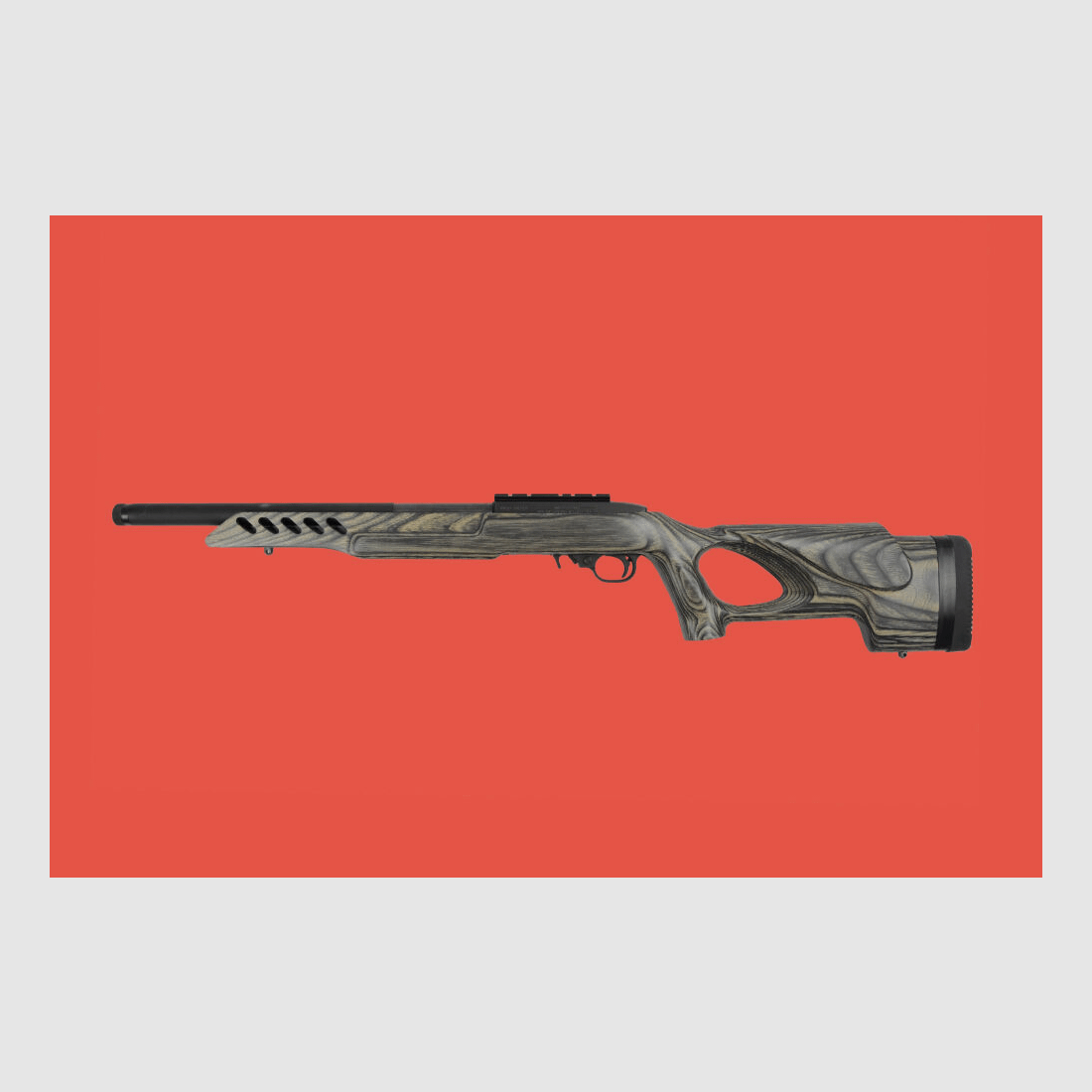 Ruger 10/22 Target