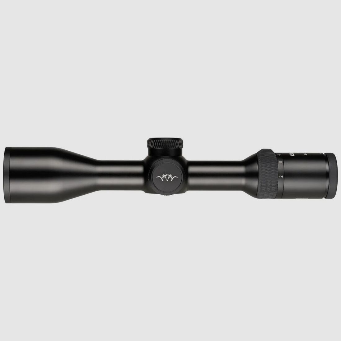 Blaser B2 mit Schiene 2-12x50IC
