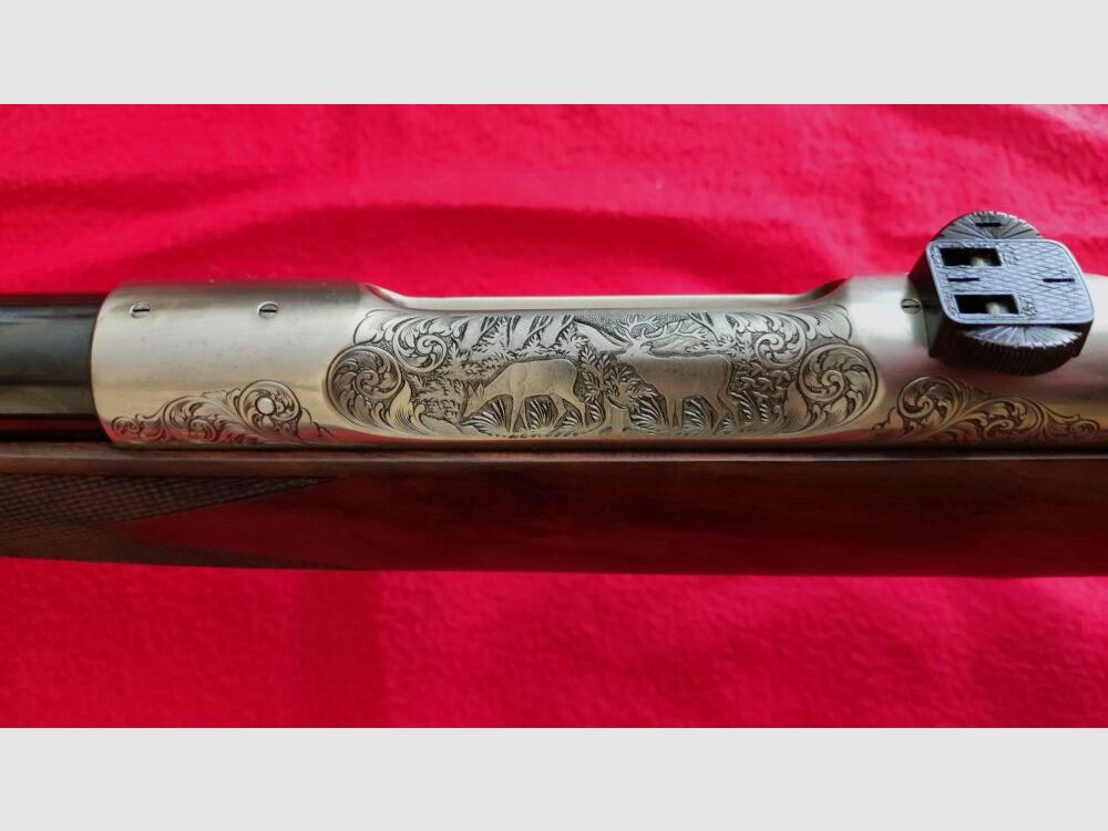 SAUER 80