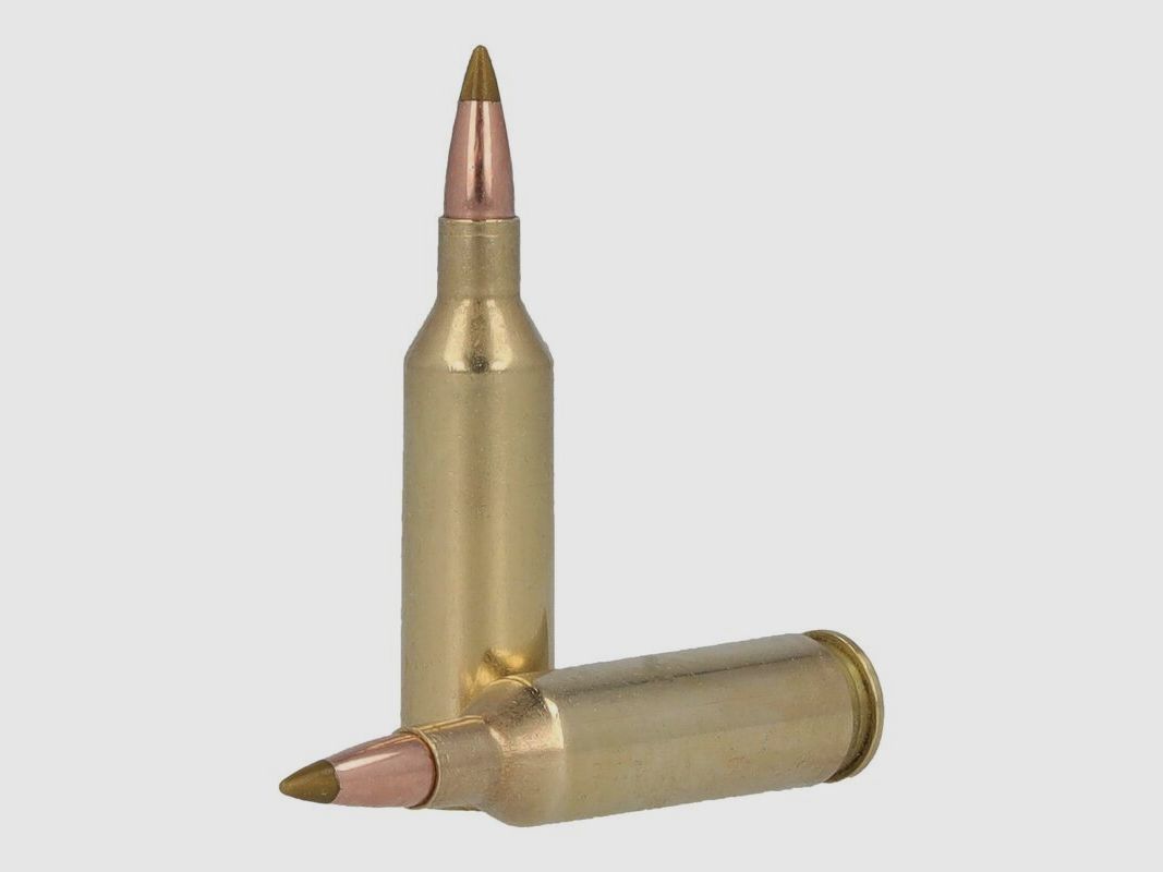 Remington Premier .17 Rem. Fireball 20GR Accutip-V 20 Patronen