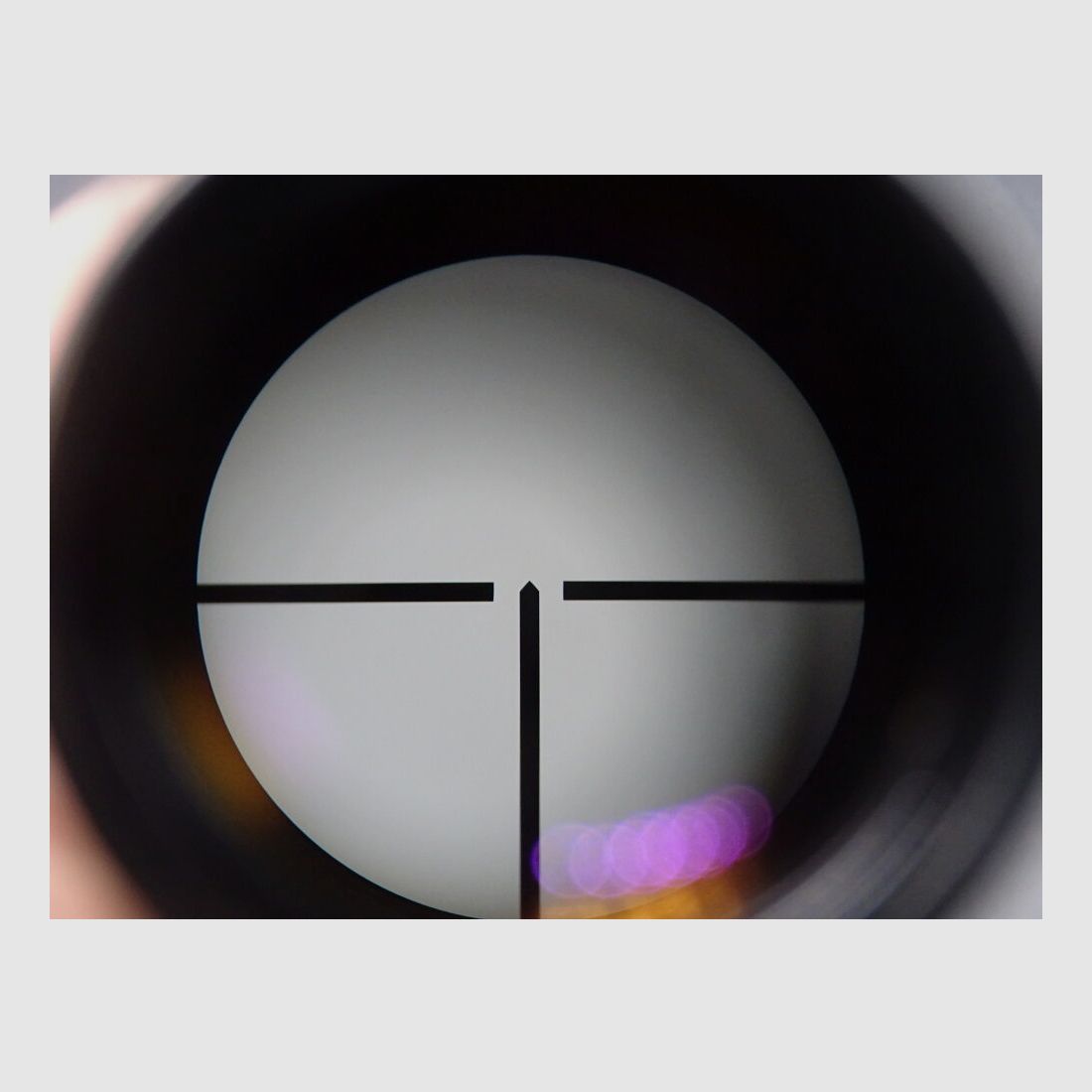 Zeiss ZF 6x42 M DDR Abs 1 met SEM ZF 6x42