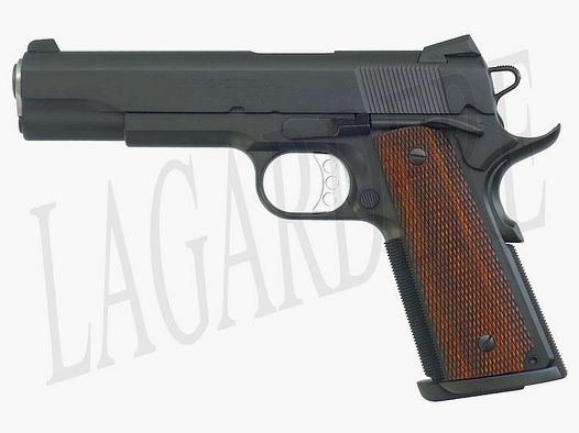 SPRINGFIELD PC9111 CSTM PROFESSIONAL (PISTOLE)