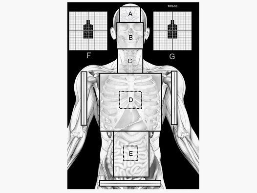 Silhouette bersaglio TWS 1C, 10 pz.