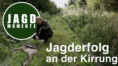 JagdMomente | Folge 15 | Jagderfolg an der Kirrung