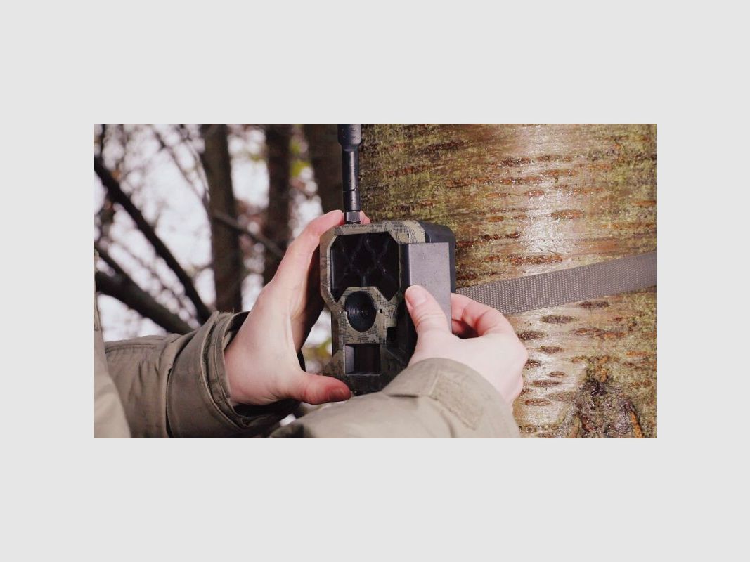 ICUserver CLOM Cam-S Funk Wildkamera Starterset (2x Cam-S + 4 Akkus +Ladegerät)