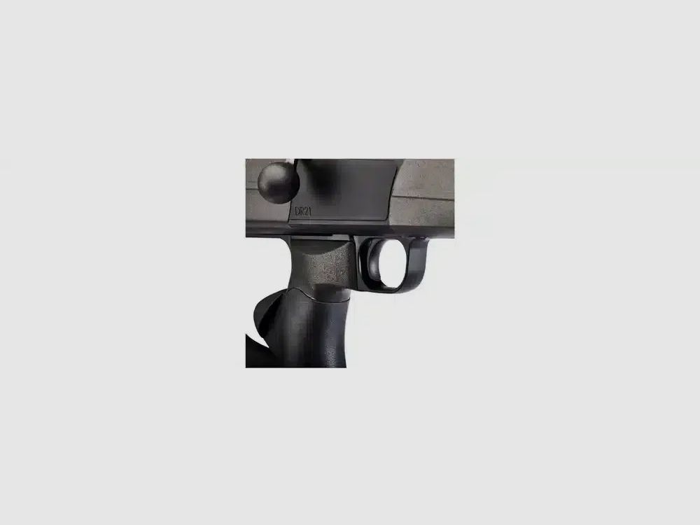 Dentler DR21 con guida di base Vario