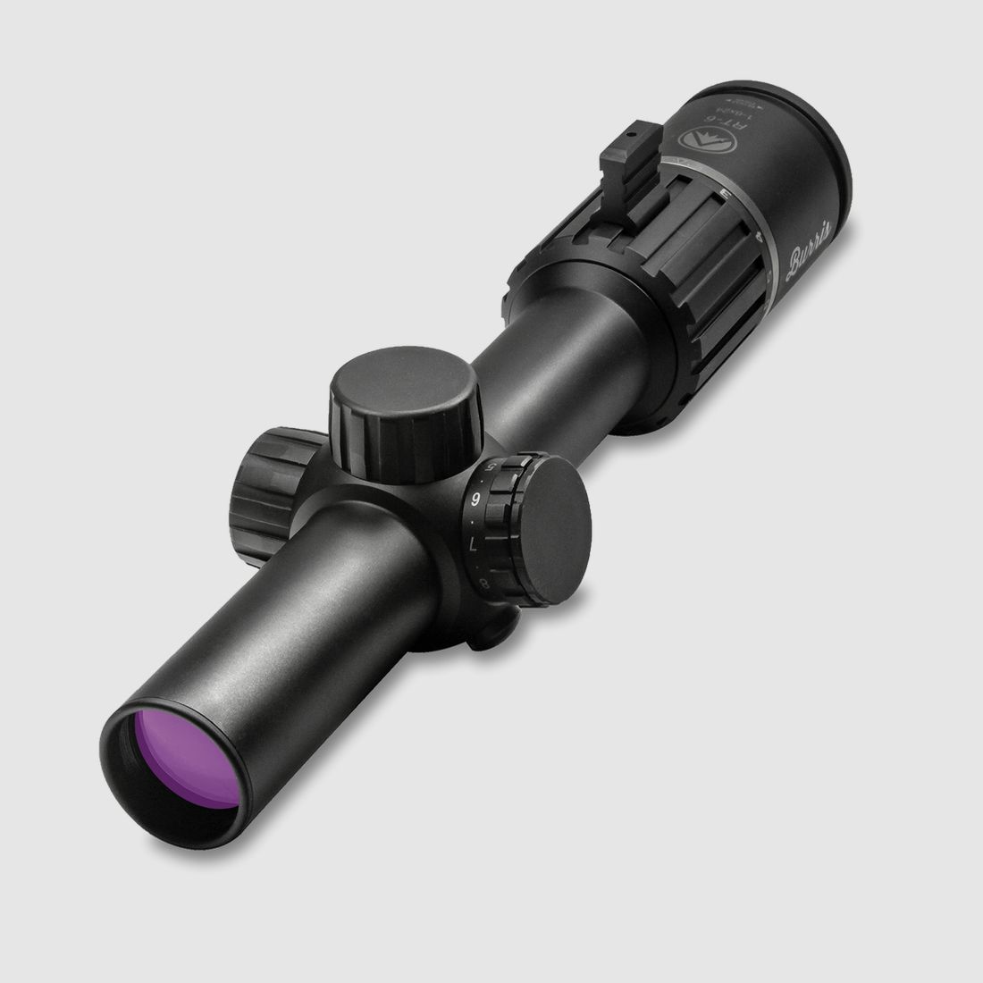 Burris RT6 1–6x24