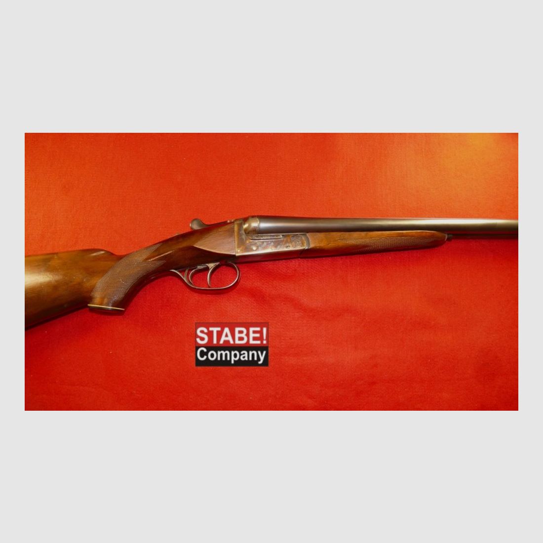 AYA Espagne Busard des roseaux