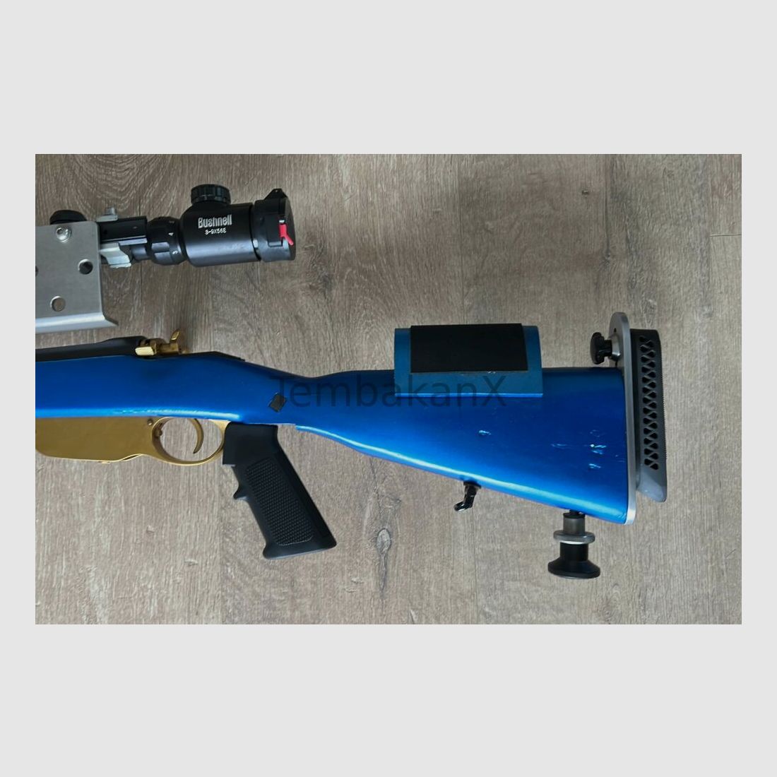 Steyr Arms Modified .308Win