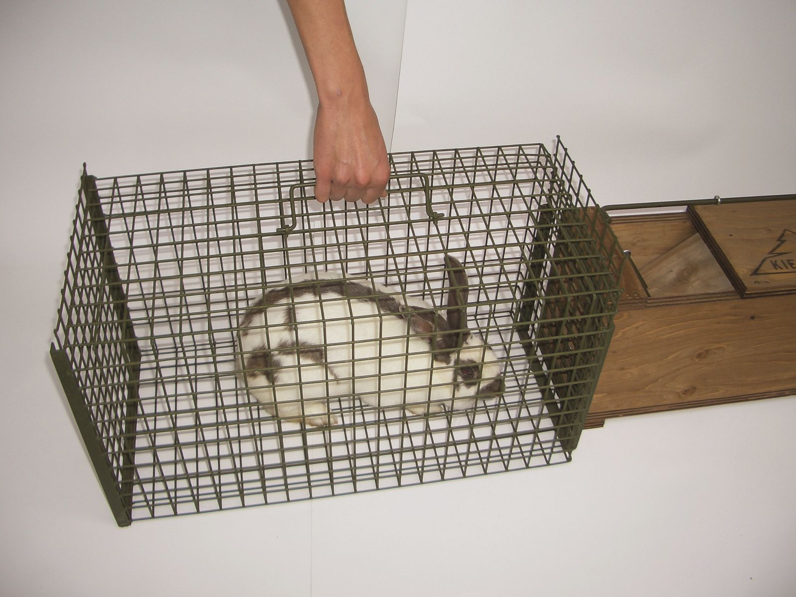 Universal II-D Raubwild Set