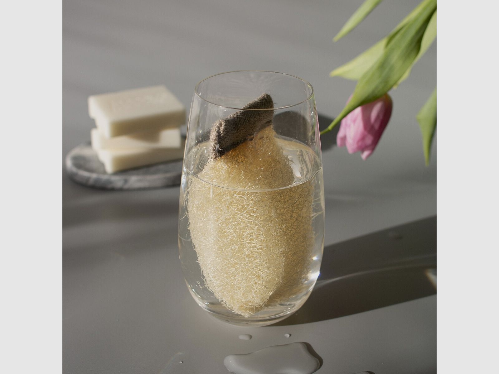 Clearo Spugna Luffa e Supporto per Detergenti Solidi, immagine 1 di 12